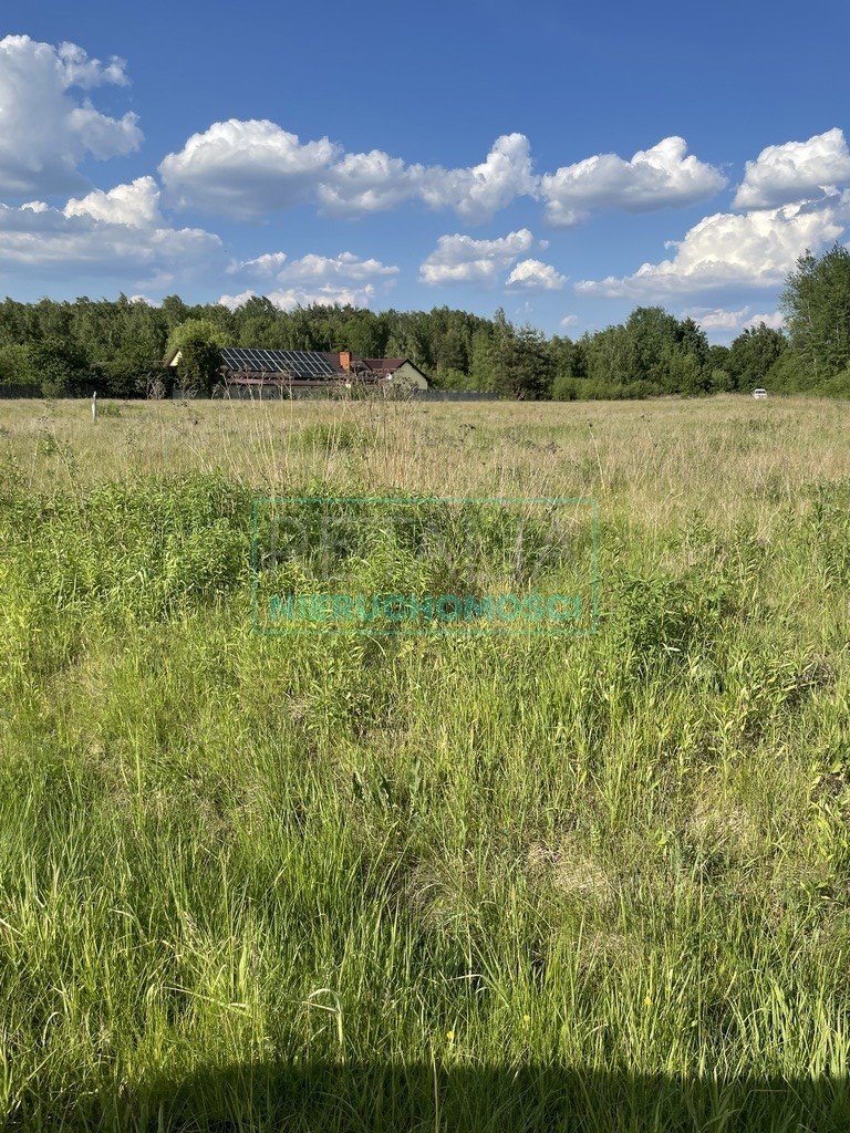 Działka 7196 m² z dostępem do asfaltu i mediami Stare Budy  7 196m2 Foto 1