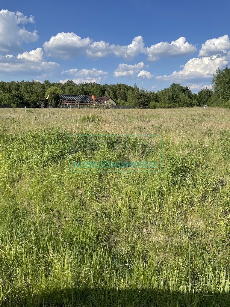 Działka budowlana na sprzedaż Stare Budy  7 196m2 Foto 1