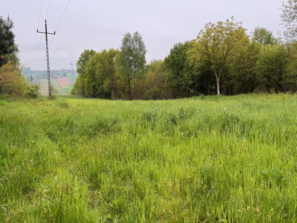 Działka inna na sprzedaż Krzęcin  7 900m2 Foto 2