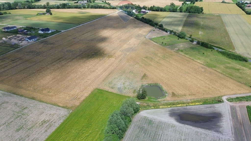 Działka budowlana na sprzedaż Grzebienisko, Szamotulska  1 005m2 Foto 3