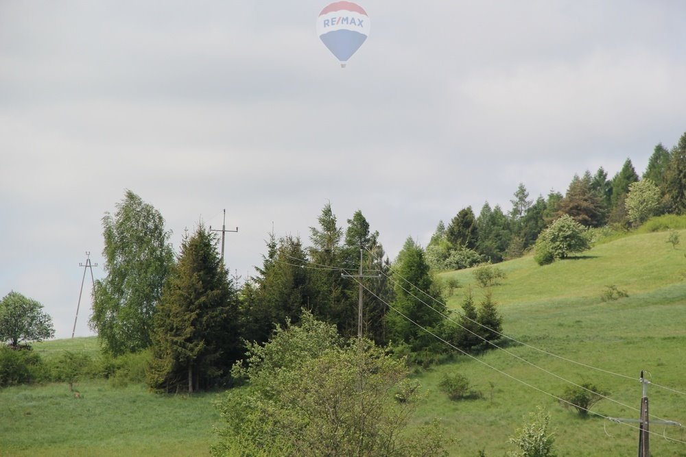 Działka leśna na sprzedaż Krośnica  8 049m2 Foto 5