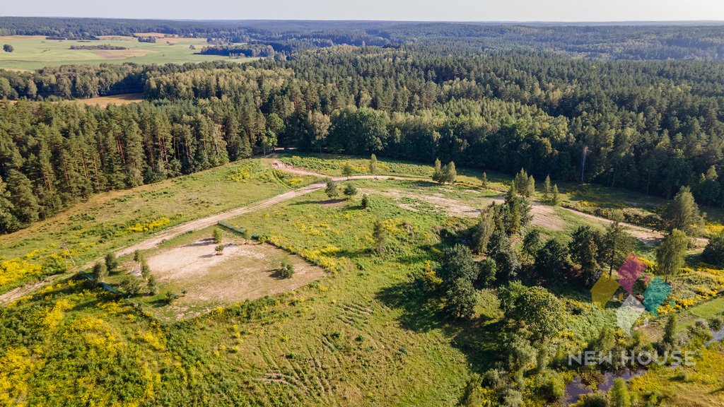 Działka budowlana na sprzedaż Dorotowo  3 811m2 Foto 4