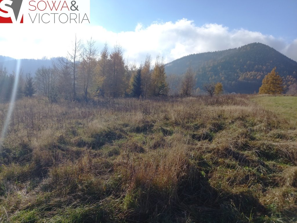 Działka budowlana na sprzedaż Jedlina-Zdrój  21 151m2 Foto 9