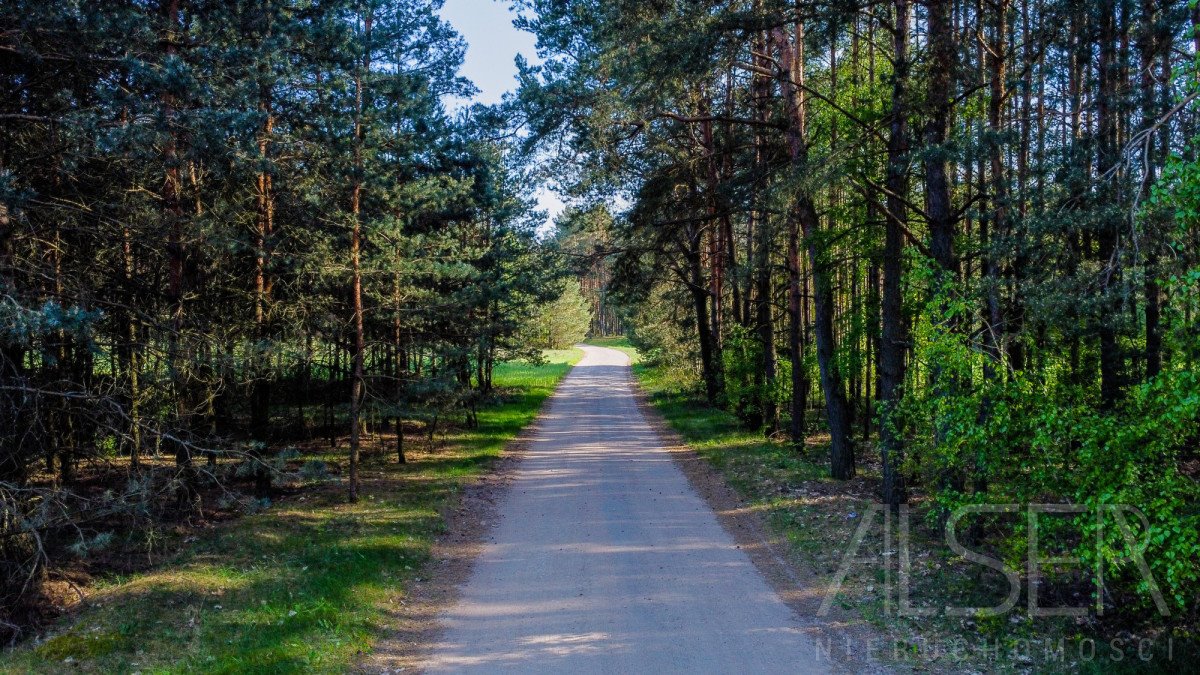 Działka rekreacyjna na sprzedaż Nowe Bosewo, Lipnik  1 245m2 Foto 8