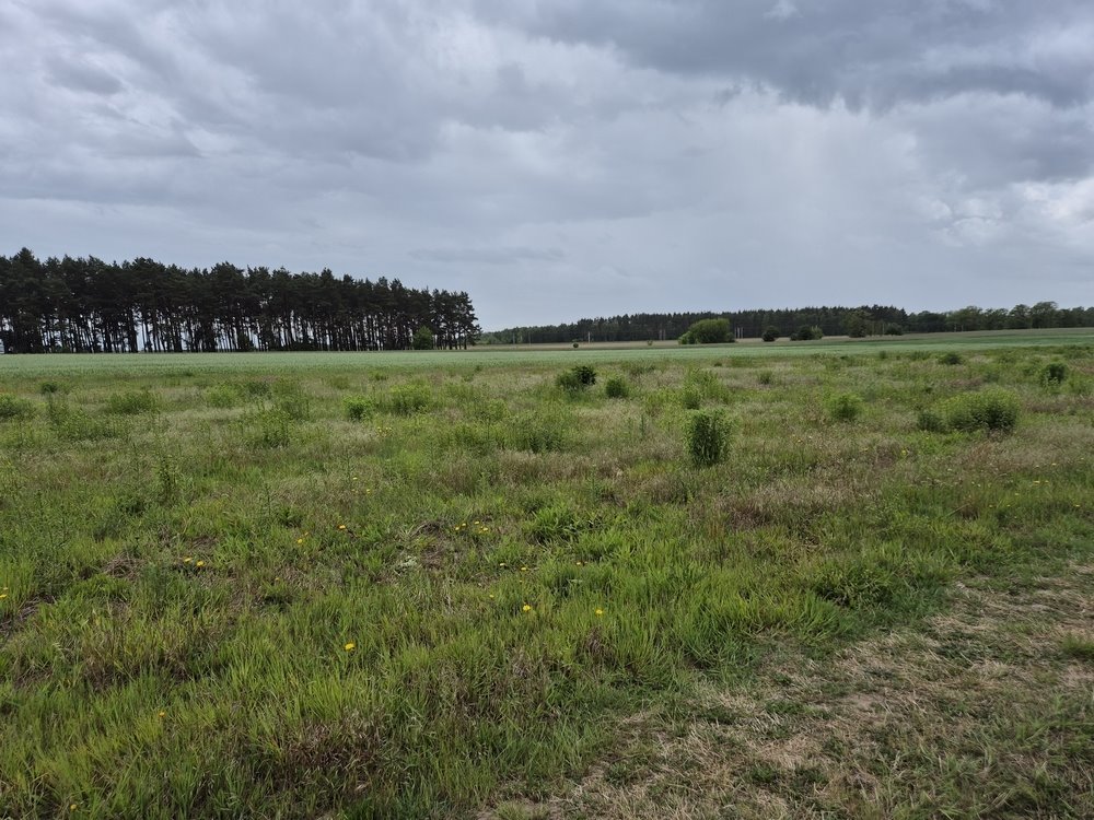 Działka budowlana 1001 m2 z mediami i udziałem w drodze Grzędzice  1 001m2 Foto 1