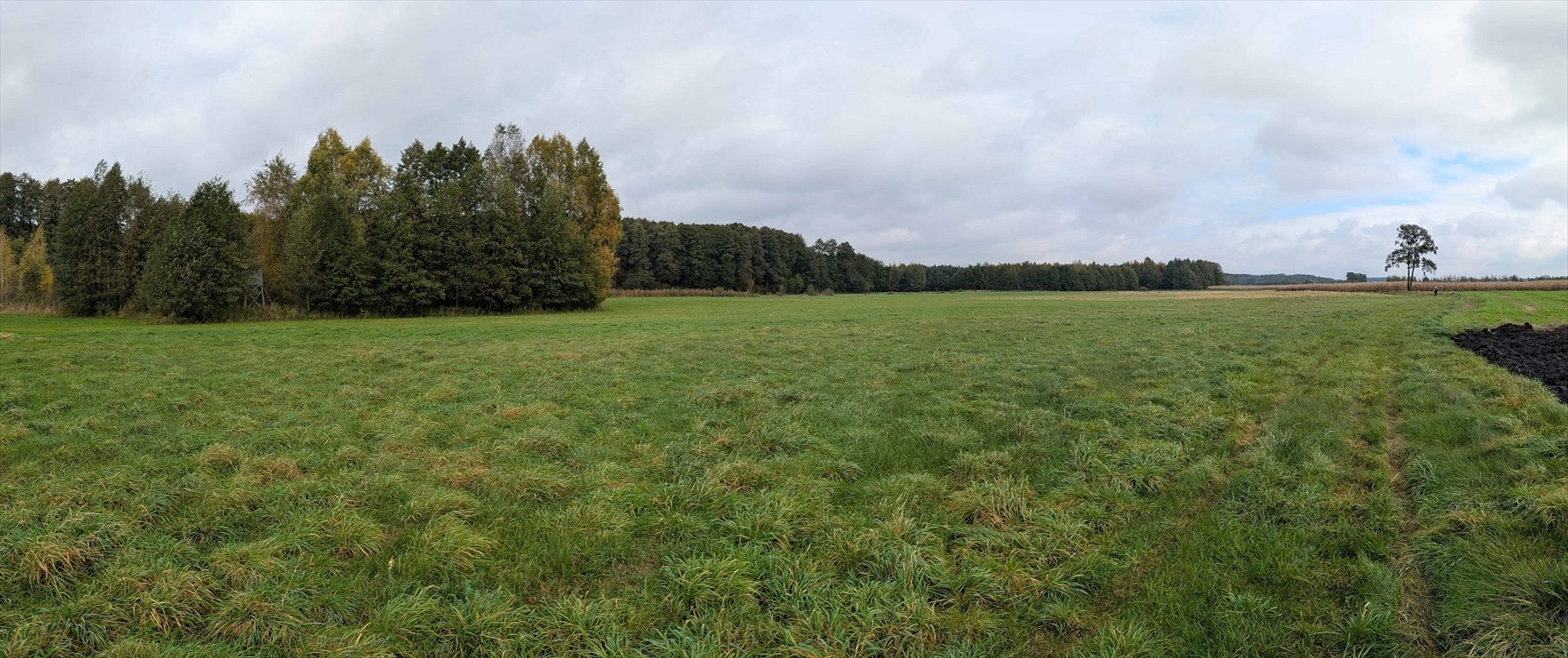 Działki rolne w Strzałkowie – idealne na pastwisko i rekreację Lisków, Strzałków  1 700m2 Foto 1