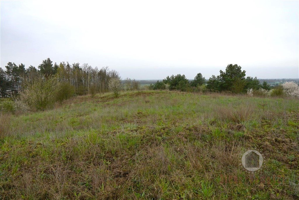 Duża działka 2,09 ha z widokiem i możliwością budowy domu Nowe Kurowo  20 900m2 Foto 1