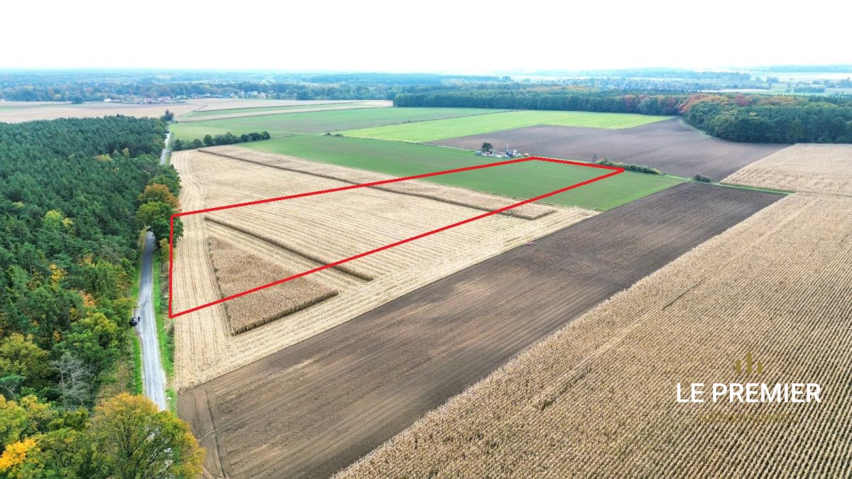 Działka gospodarstwo rolne na sprzedaż Raków  30 500m2 Foto 1