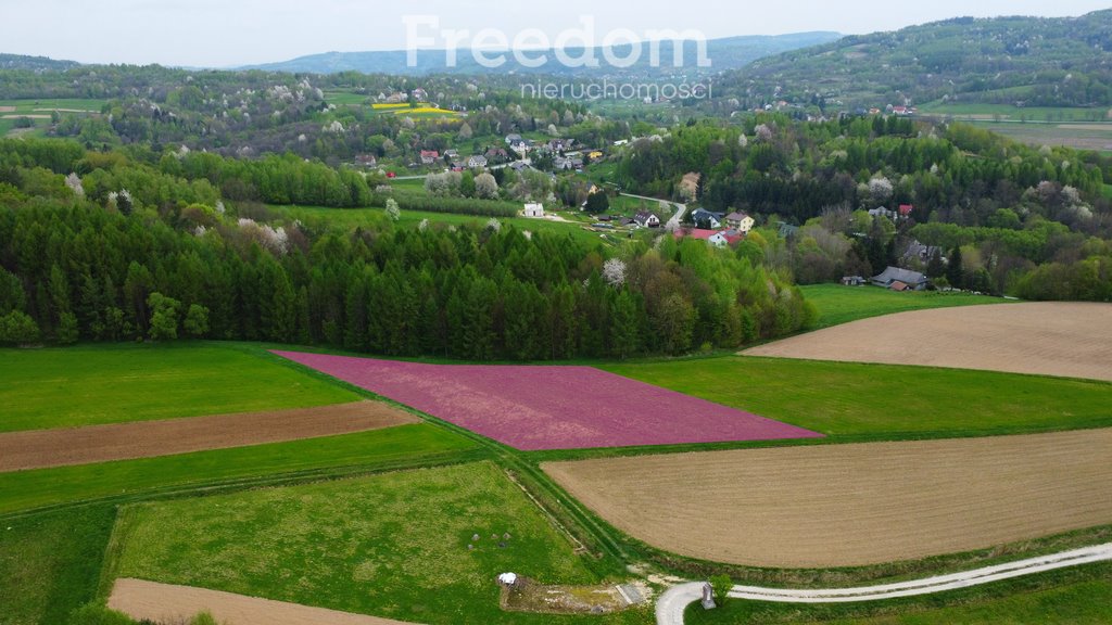 Działka budowlana na sprzedaż Jasienica Rosielna  2 829m2 Foto 1