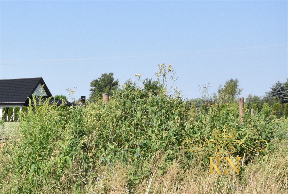 Działka budowlana na sprzedaż Skrobów  1 092m2 Foto 5