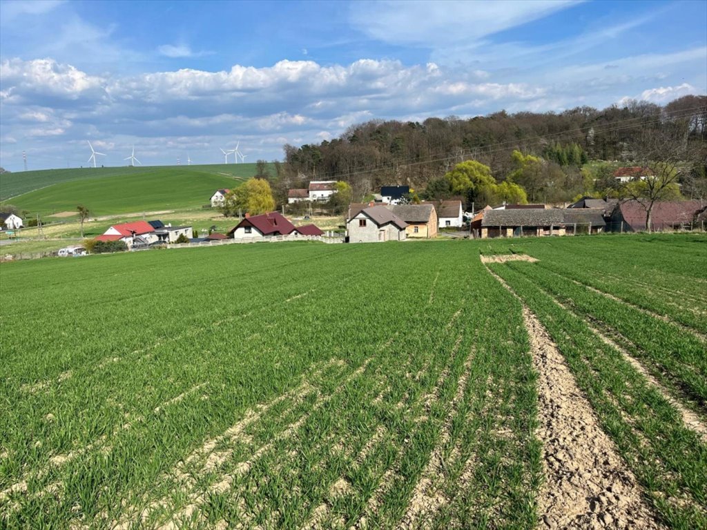 Dom na sprzedaż Ponięcice, Ponięcice, Łąkowa  300m2 Foto 1