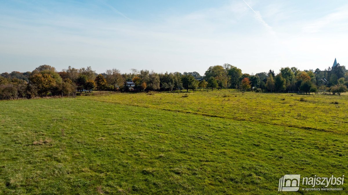 Działka rolna na sprzedaż Sarbia  6 500m2 Foto 4