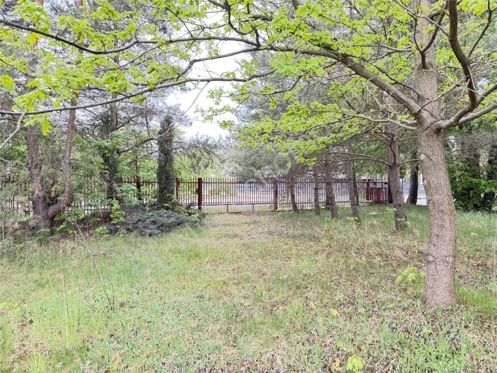 Działka budowlana 1124 m² w Owczarni, media w drodze - polecam! Owczarnia  1 124m2 Foto 1