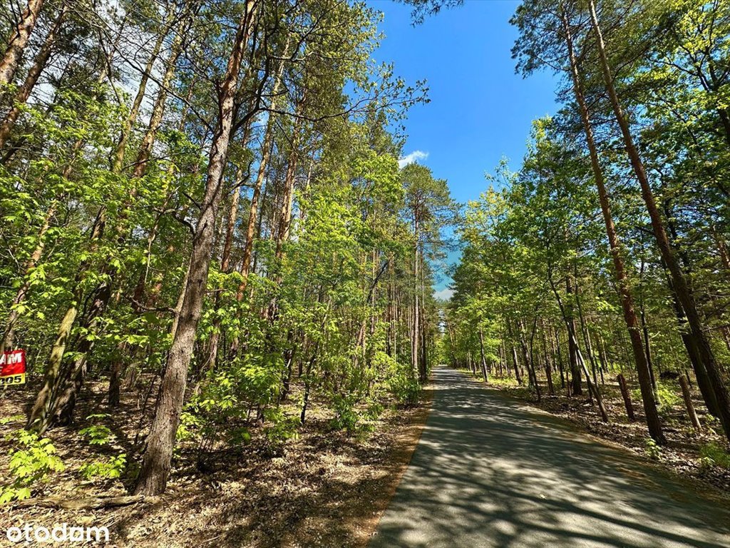 Działka 2600 m² pod dom z lasem, MPZP, Wawer Warszawa, Wawer Międzylesie, Hafciarska  2 600m2 Foto 1