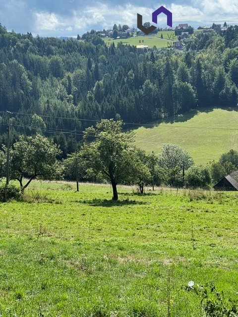 Zdjęcie 7