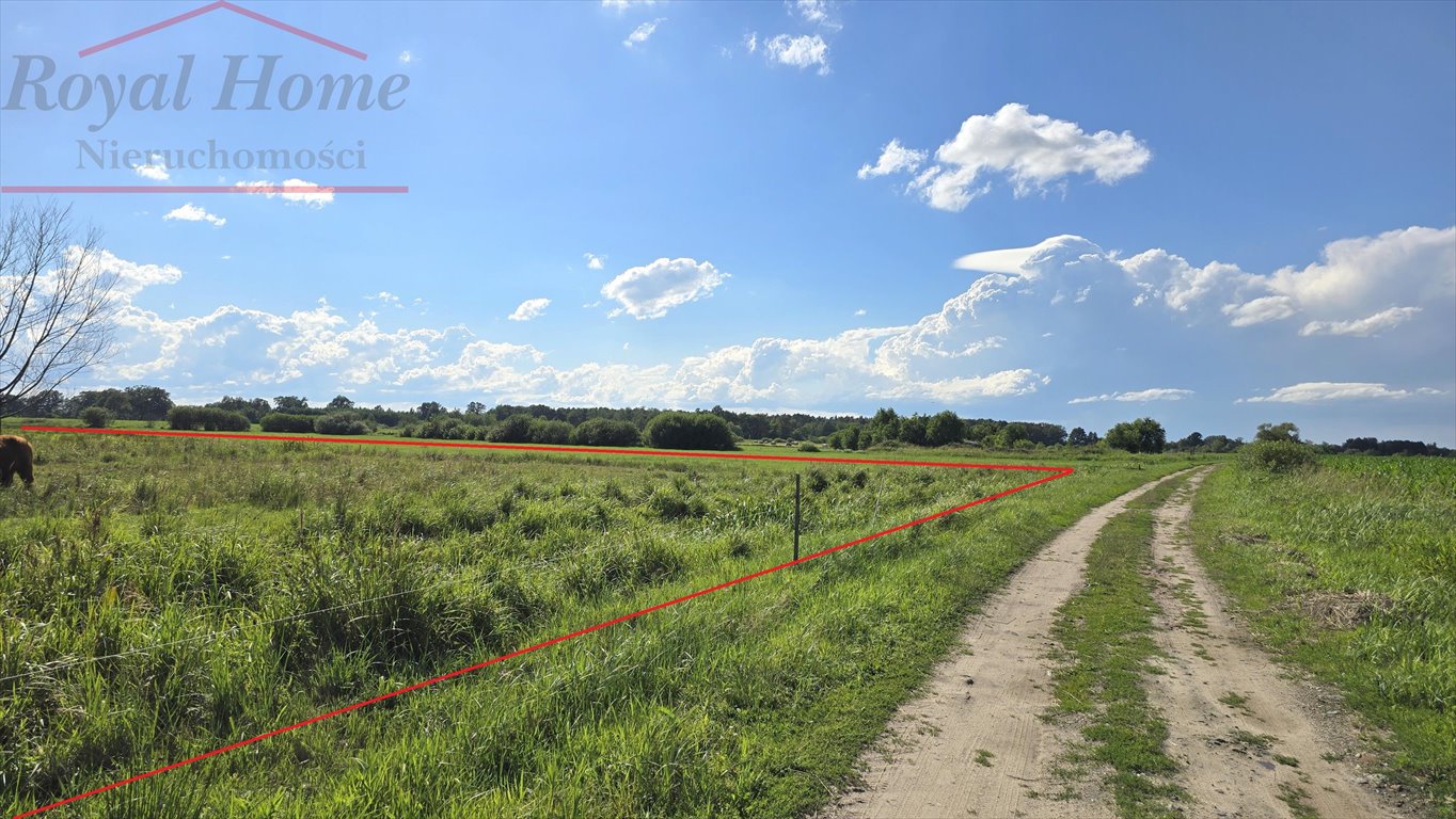 Działka rolna na sprzedaż Chrząstawa Mała, Graniczna  20 500m2 Foto 4