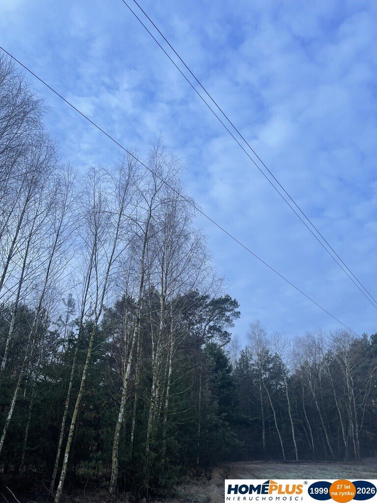 Zdjęcie 4