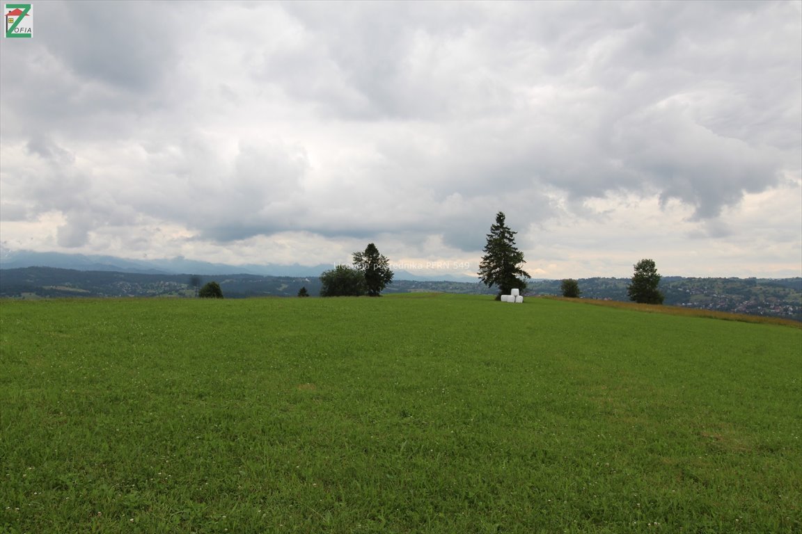 Działka rolna na sprzedaż RZEPISKA  3 500m2 Foto 4