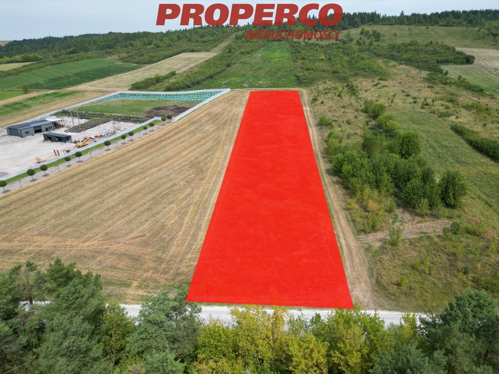 Działka inna na sprzedaż Sobków  4 900m2 Foto 1