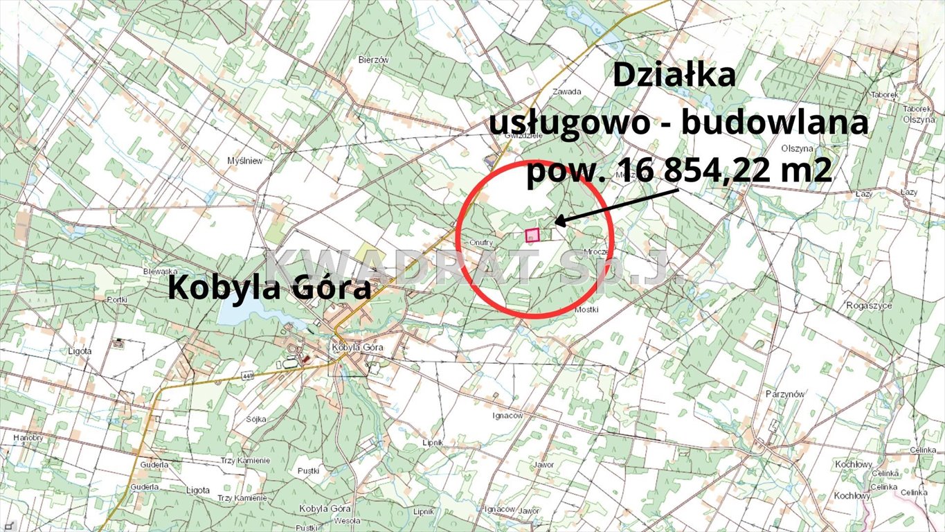 Działka budowlana na sprzedaż Kobyla Góra  8 427m2 Foto 2