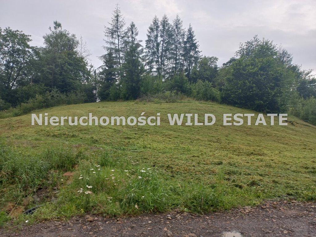 Działka budowlana na sprzedaż Solina, Terka  2 109m2 Foto 1