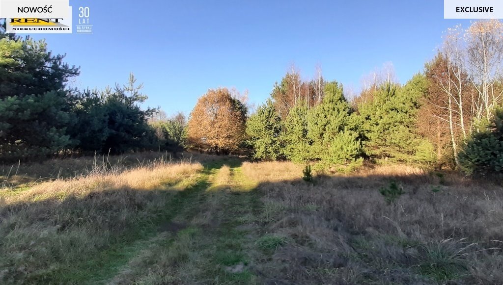 Działka 3084 m2 z dostępem do jeziora i lasu Stara Dąbrowa  3 084m2 Foto 1