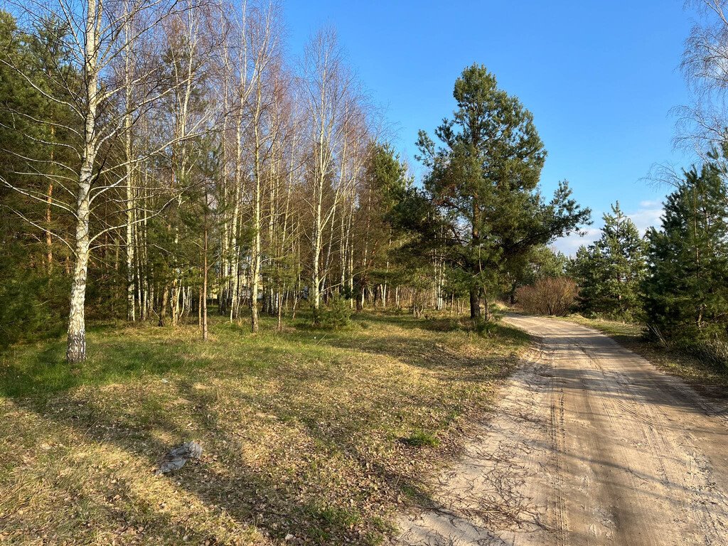 Działka budowlana na sprzedaż Kolonia Piaski  3 400m2 Foto 10