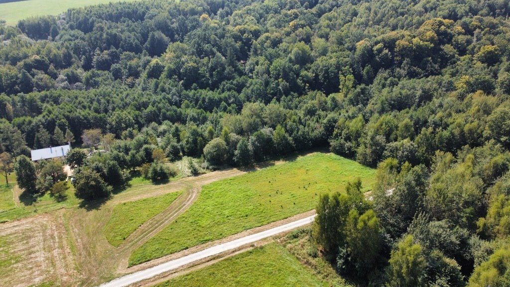 Działka budowlana na sprzedaż Nowy Borek  4 175m2 Foto 5