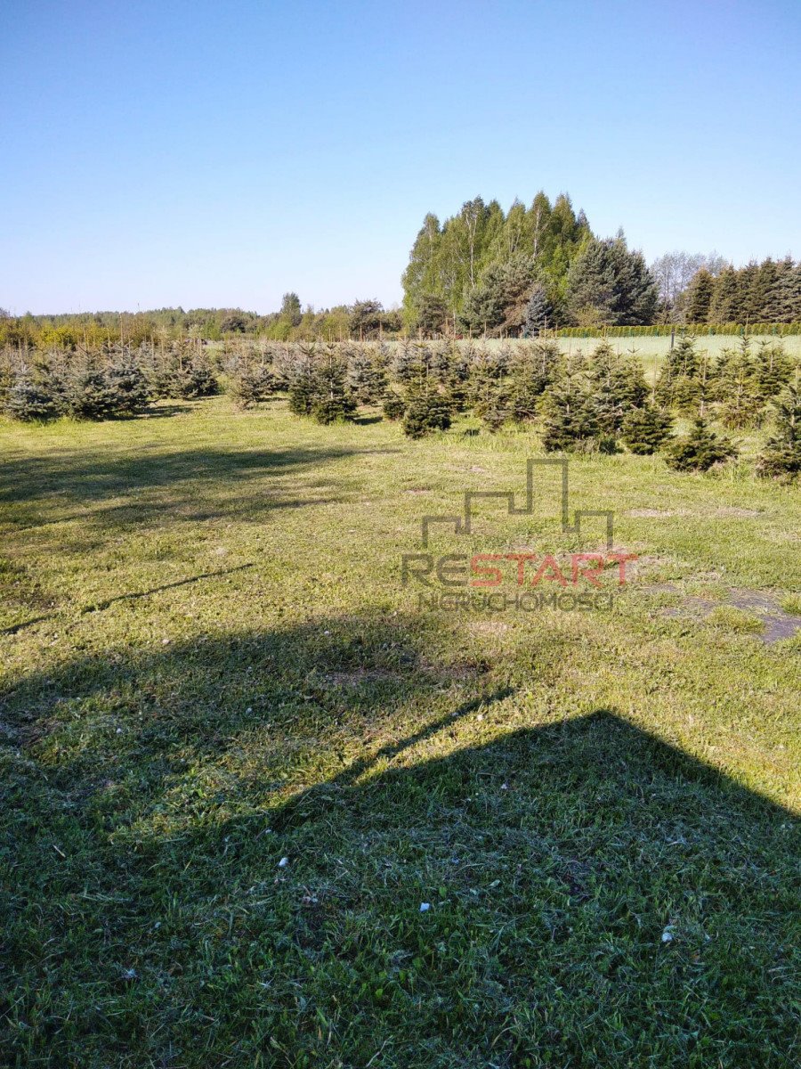 Działka budowlana na sprzedaż Stary Łajszczew  1 160m2 Foto 3