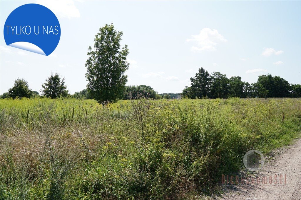 Działka budowlana na sprzedaż Deszczno  1 000m2 Foto 4