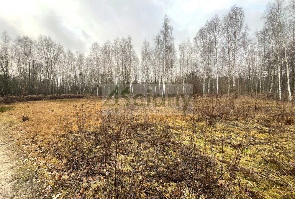 Działka 1500 m2 z projektem bliźniaków, media, las, blisko miasta Kałęczyn  1 500m2 Foto 1