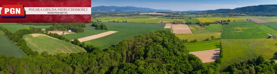 Działka budowlana na sprzedaż Bystrzyca Kłodzka  32 600m2 Foto 6