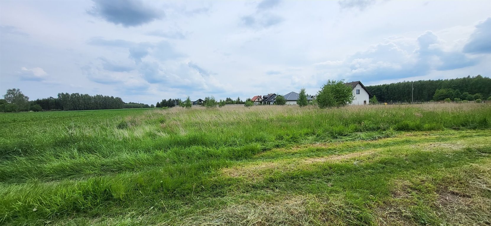 Działka inna na sprzedaż Tymienice  3 948m2 Foto 4