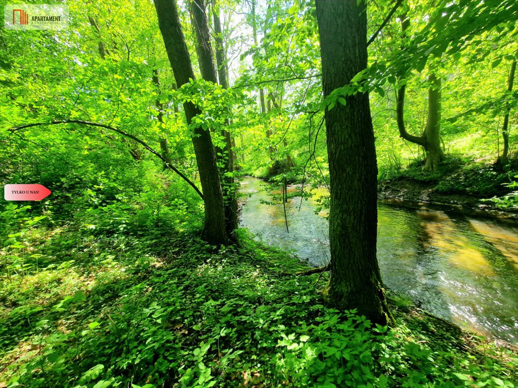 Zapraszam do zakupu działki z linią brzegową rzeki Prusiny Tleń  3 800m2 Foto 1
