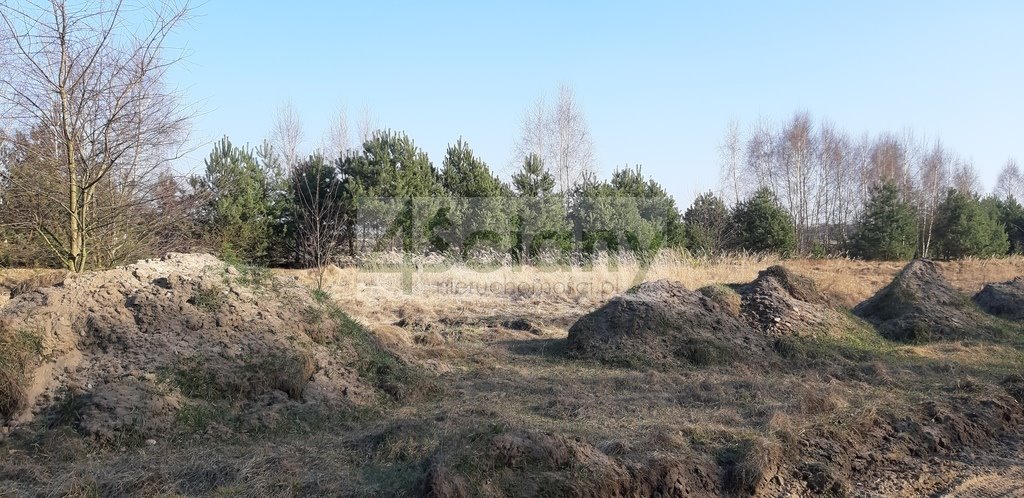 Działka siedliskowa na sprzedaż Wycześniak  3 000m2 Foto 1
