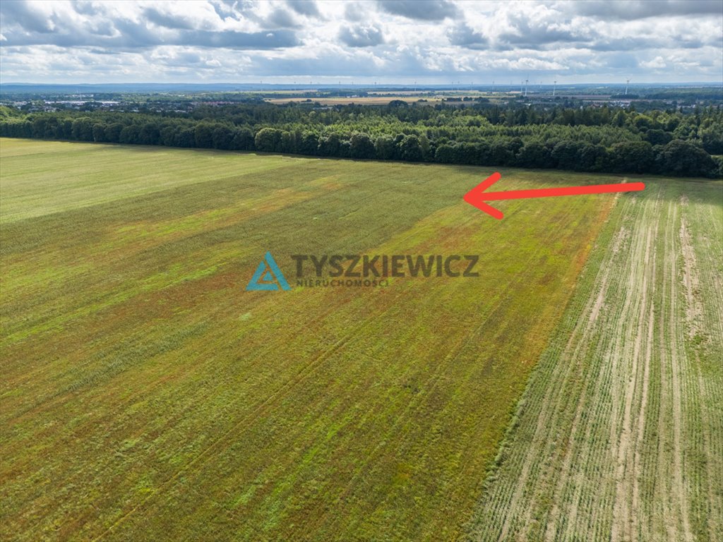 Zdjęcie 8