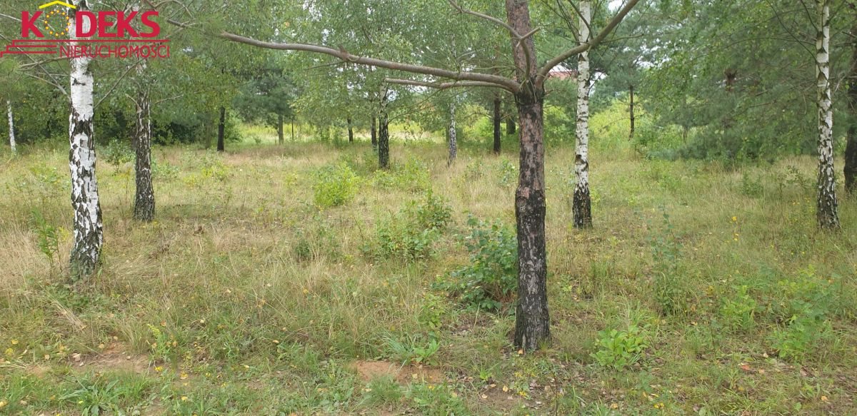 Sprzedam działkę 1500 m² w Skrzeszewie - cicha okolica, prąd i gaz Skrzeszew  1 500m2 Foto 1