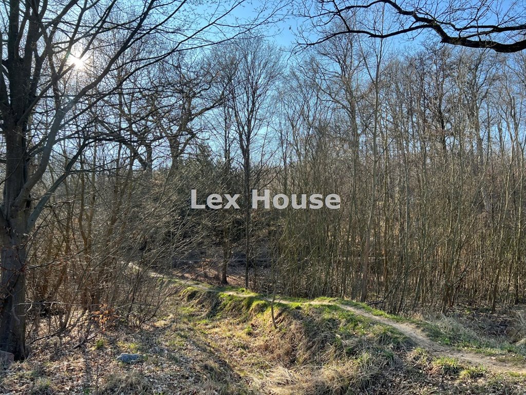 Działka 1650 m² pod dom w Leśnej Polanie – media, komunikacja Szczecin, Prawobrzeże  1 650m2 Foto 1