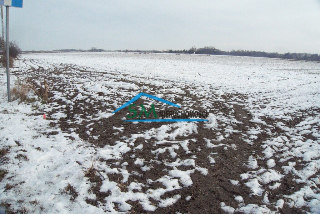 Działka inwestycyjna na sprzedaż Chlebnia  39 400m2 Foto 1