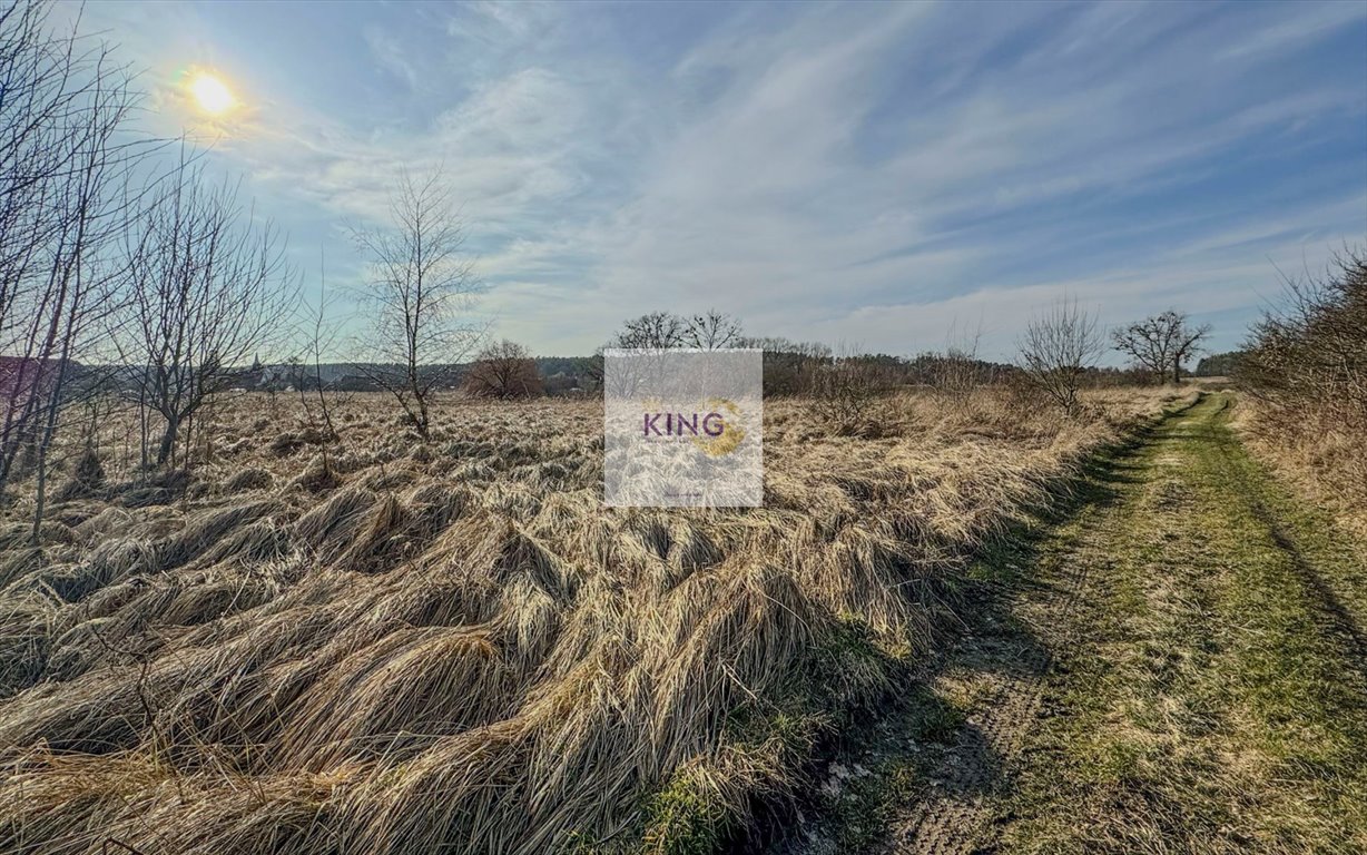 Malownicza działka pod dwa domy w Borzymiu, 3000 m² Borzym  3 000m2 Foto 1