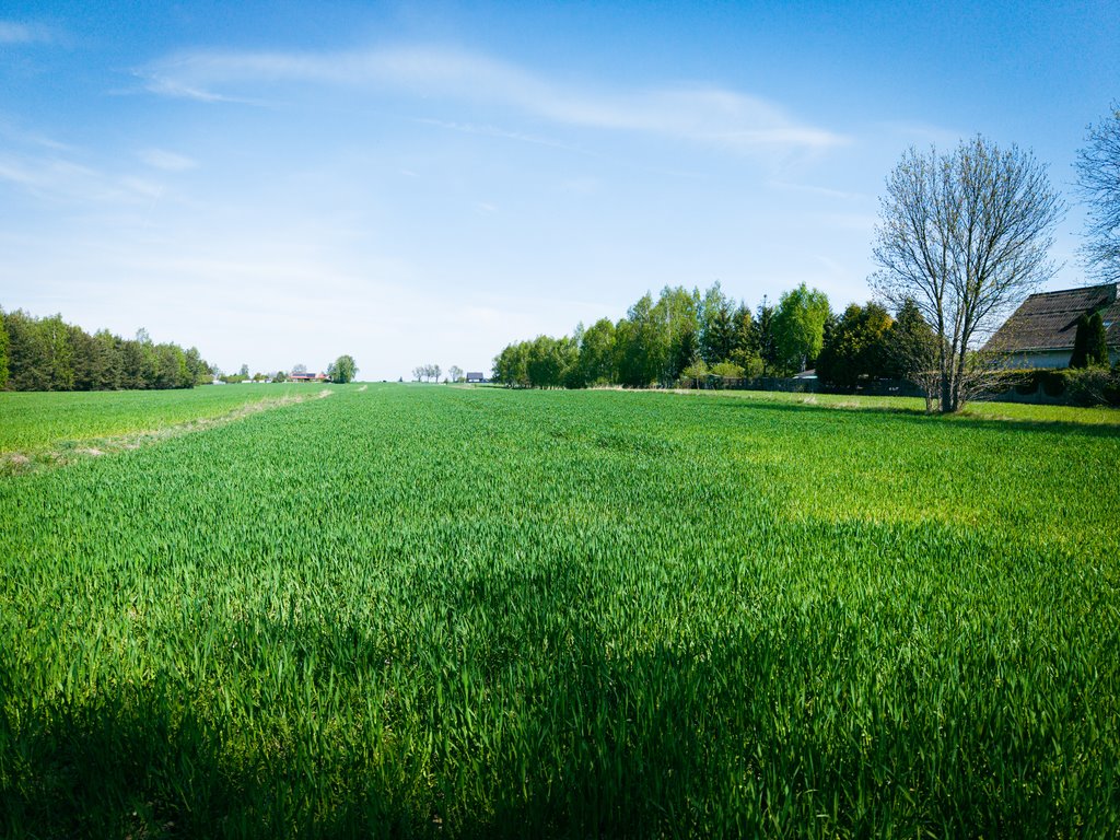Las, cisza i zieleń - miejsce na Twój nowy dom Helenów  4 180m2 Foto 1