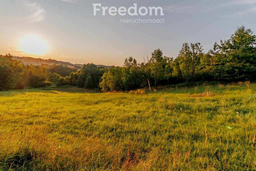 Działka budowlana na sprzedaż Zabłędza  9 218m2 Foto 1