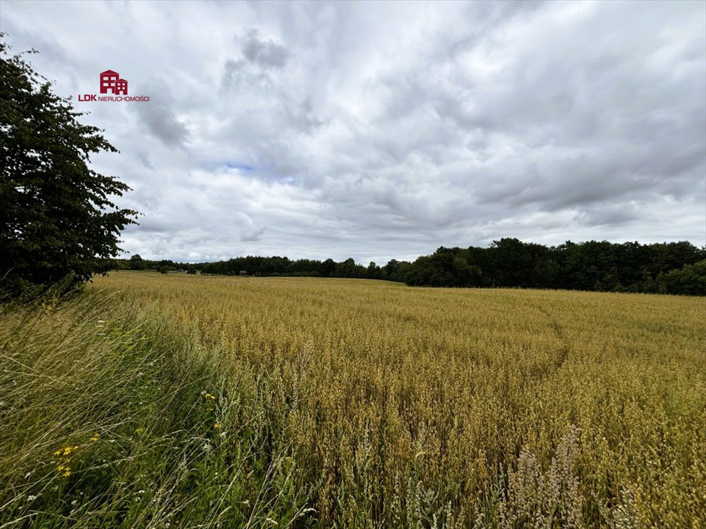 Działka siedliskowa na sprzedaż Mierzeszyn, Gdańska  16 681m2 Foto 5