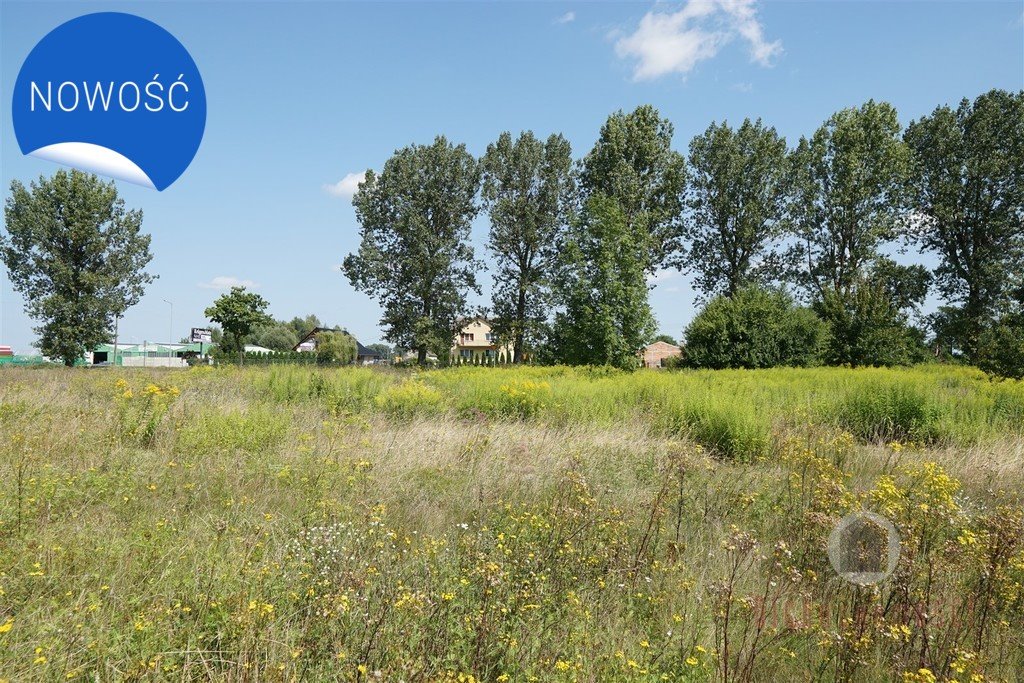 Działka komercyjna na sprzedaż Deszczno  1 985m2 Foto 4