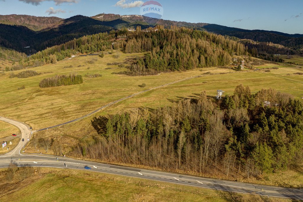 Działka budowlana na sprzedaż Kluszkowce  9 373m2 Foto 17