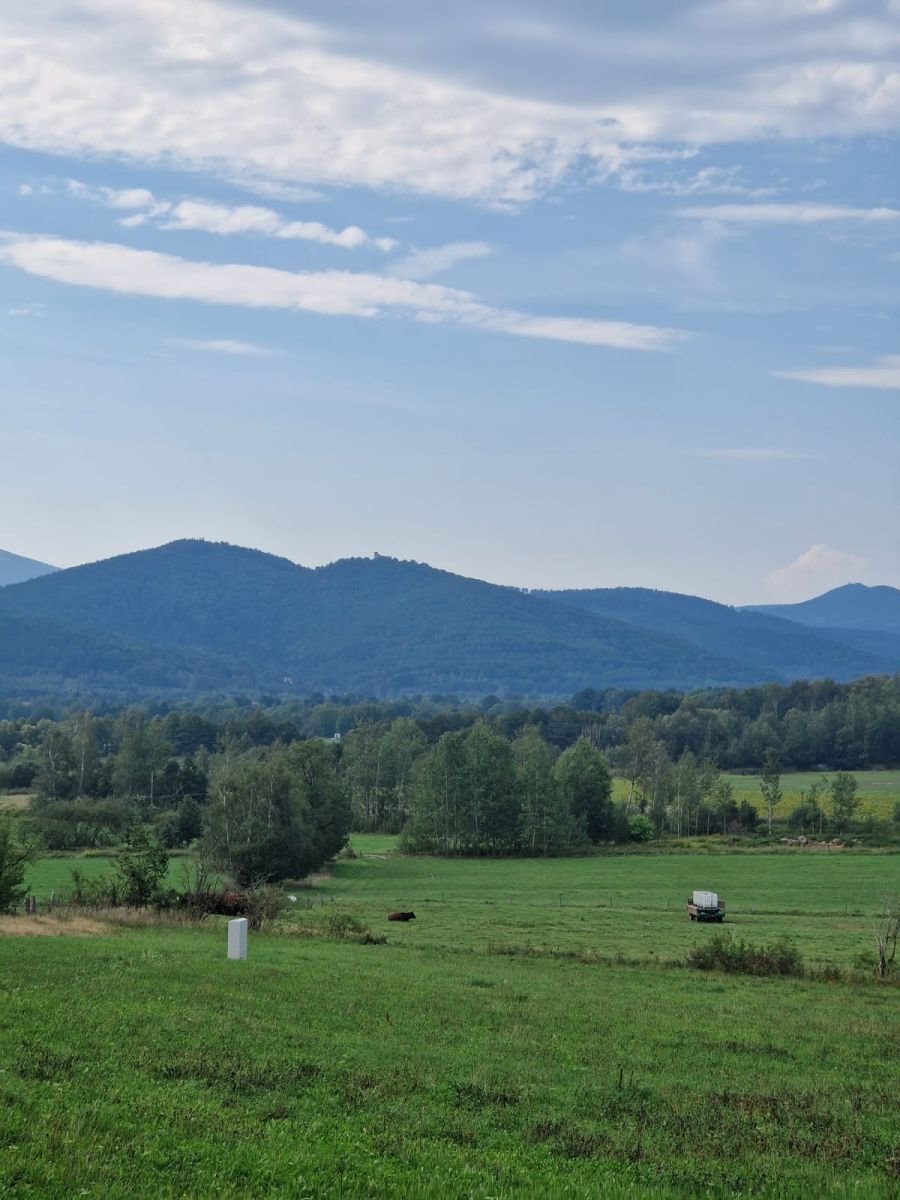 Działka budowlana na sprzedaż Jelenia Góra, Walerego Wróblewskiego  3 445m2 Foto 7