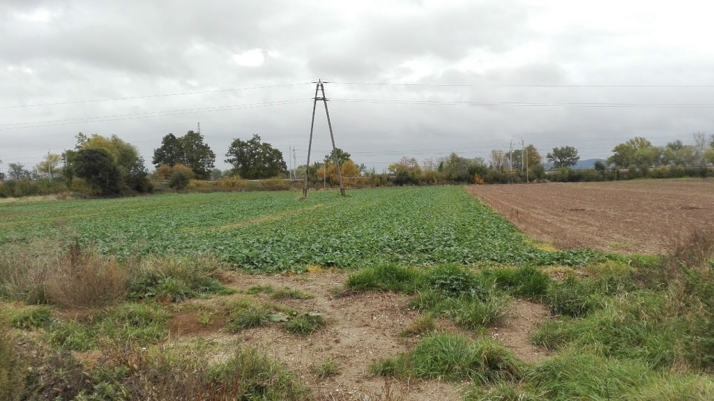 Działka inna na sprzedaż Świebodzice, Ciernie  2 762m2 Foto 3