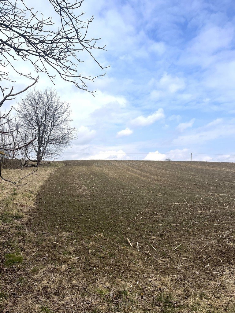 Działka budowlana na sprzedaż Rzeżuśnia  1 700m2 Foto 3