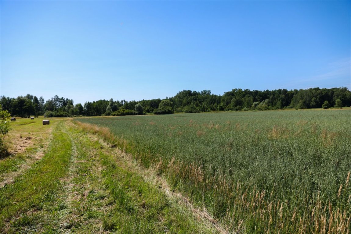 Działka siedliskowa na sprzedaż Stare Siedlisko  135 470m2 Foto 3