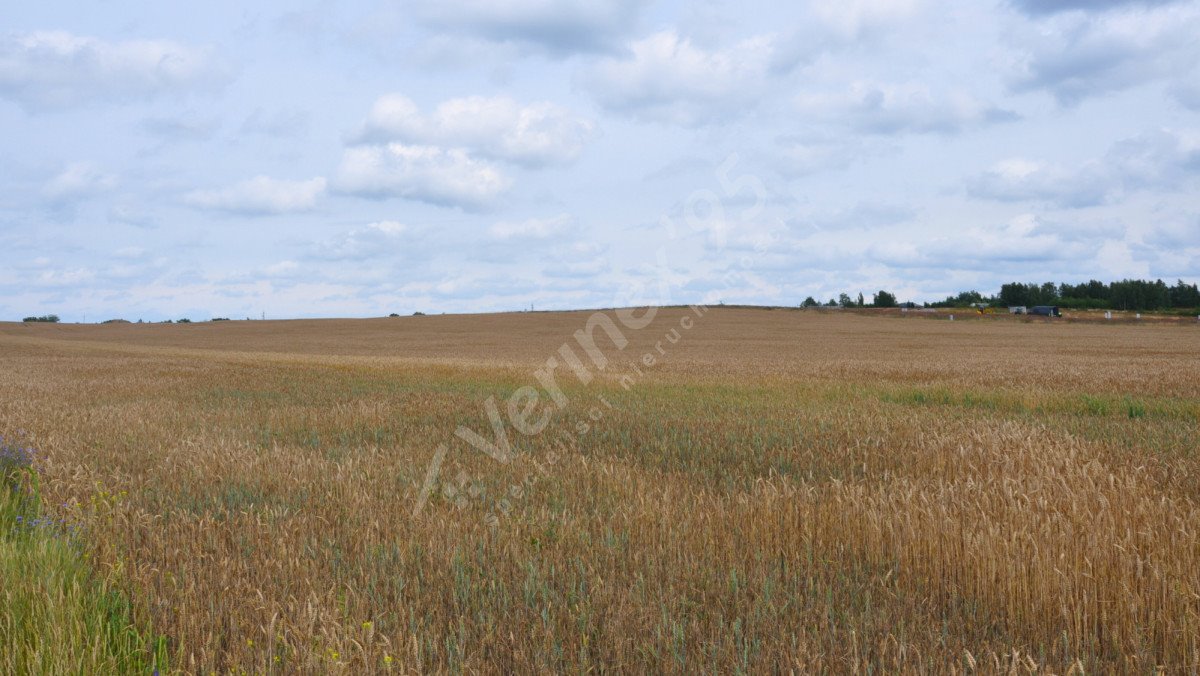 Działka budowlana na sprzedaż Swadzim  23 663m2 Foto 5